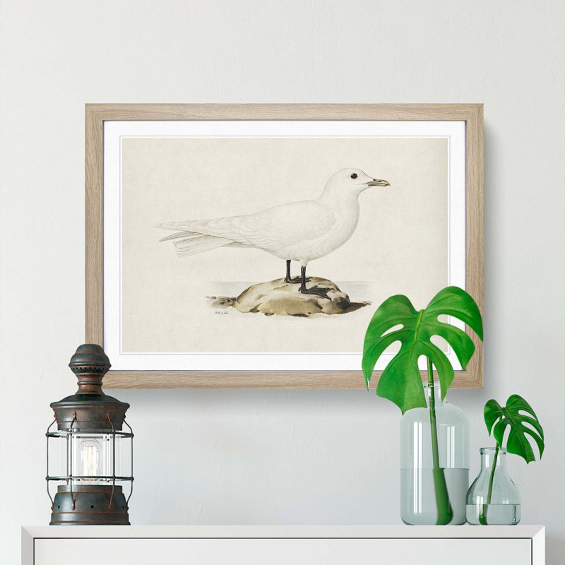 Ivory Gull by Von Wright - Framed Print, Oak Framed, 48cm H x 65cm W x 2cm D