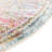 Oriental Indoor Rug-166310444