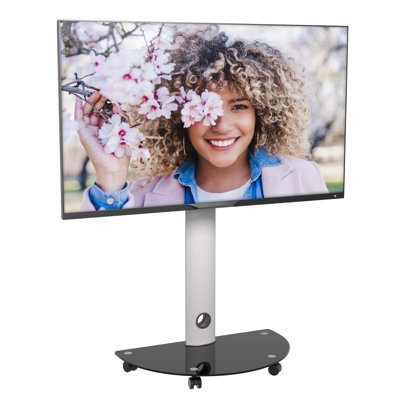 ProMounts Premium Rolling TV Stand with Swivel for 32"-72" Screens Holds up to 88 Lbs