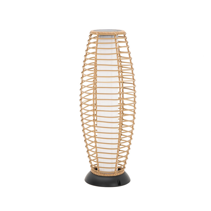 Andes 28.3'' Solar Powered Integrated LED Outdoor Floor Lamp