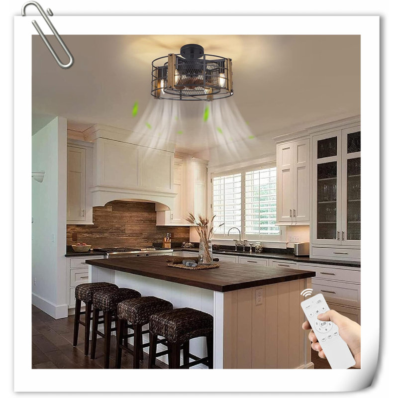 Museau Ceiling Fan with LED Lights