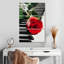 Hardie, rose rouge sur piano-108530036