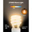Ampoules fluocompactes 13W avec lumière chaude 2700K