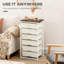 Accent Chest