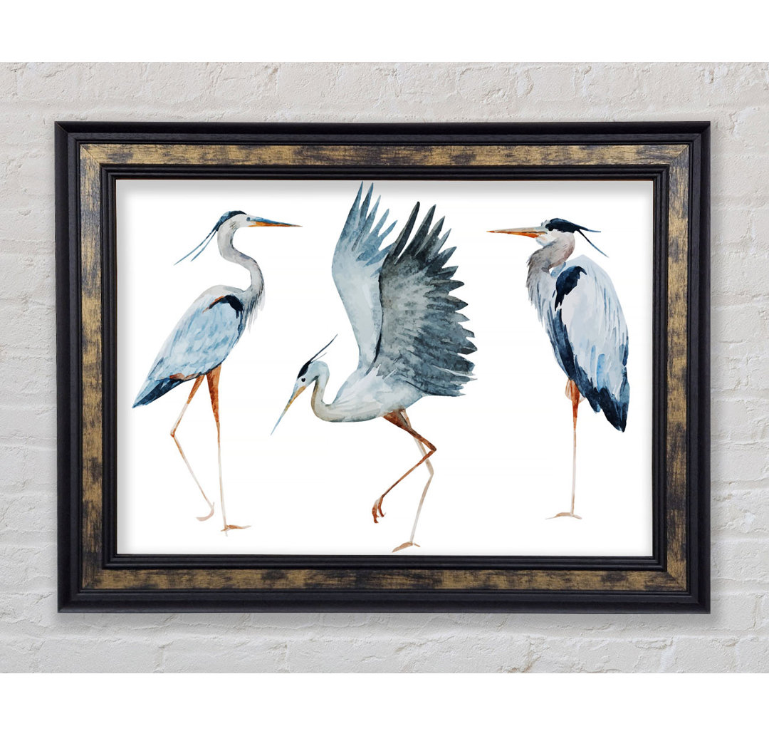 Heron Trio Gerahmter Druck Wandkunst