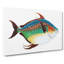 Opah Fish by Edward Donovan - Wrapped Canvas-55360479