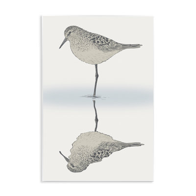 «Tranquil Sandpiper Bird», art mural par Ziwei Li