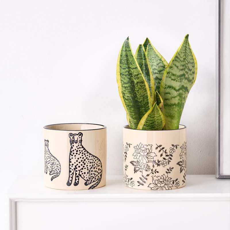 Ceramic Pot Planter
