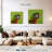 Macaw Bird Head