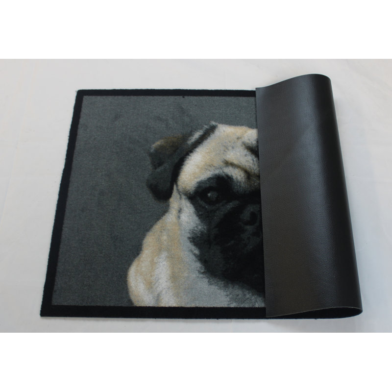 Digirolamo Doormat