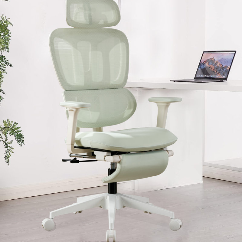 Fauteuil de bureau ergonomique Ouida, Blanc, Vert