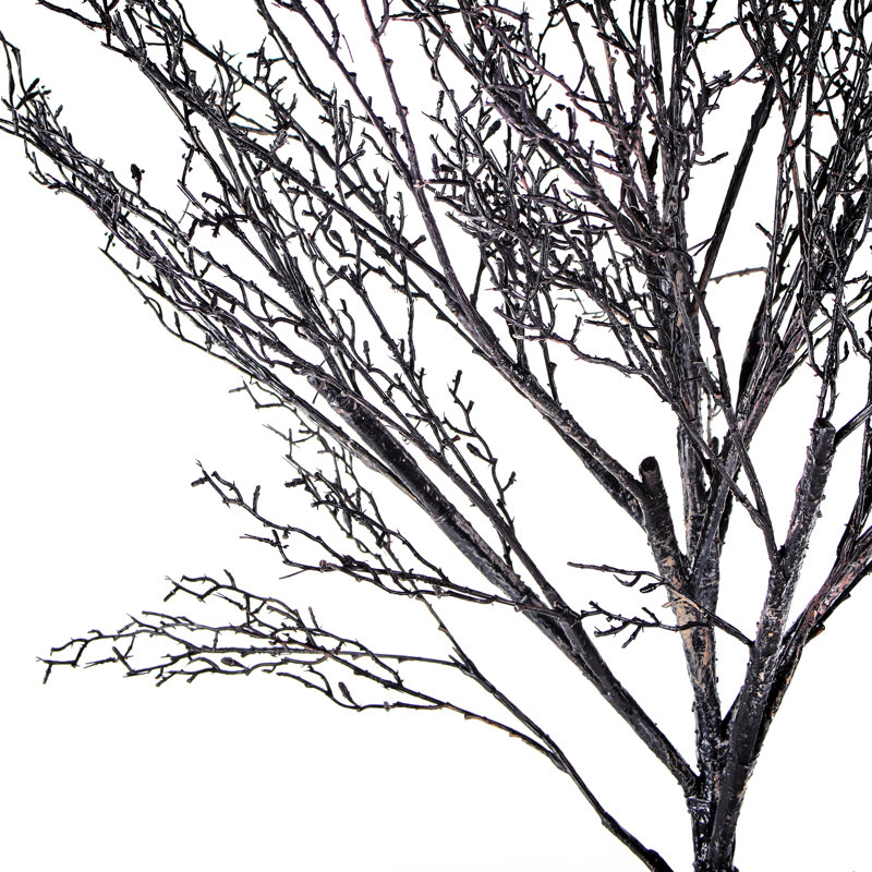 Thirsty Tree