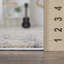 Amair Oriental Indoor Rug-803204360