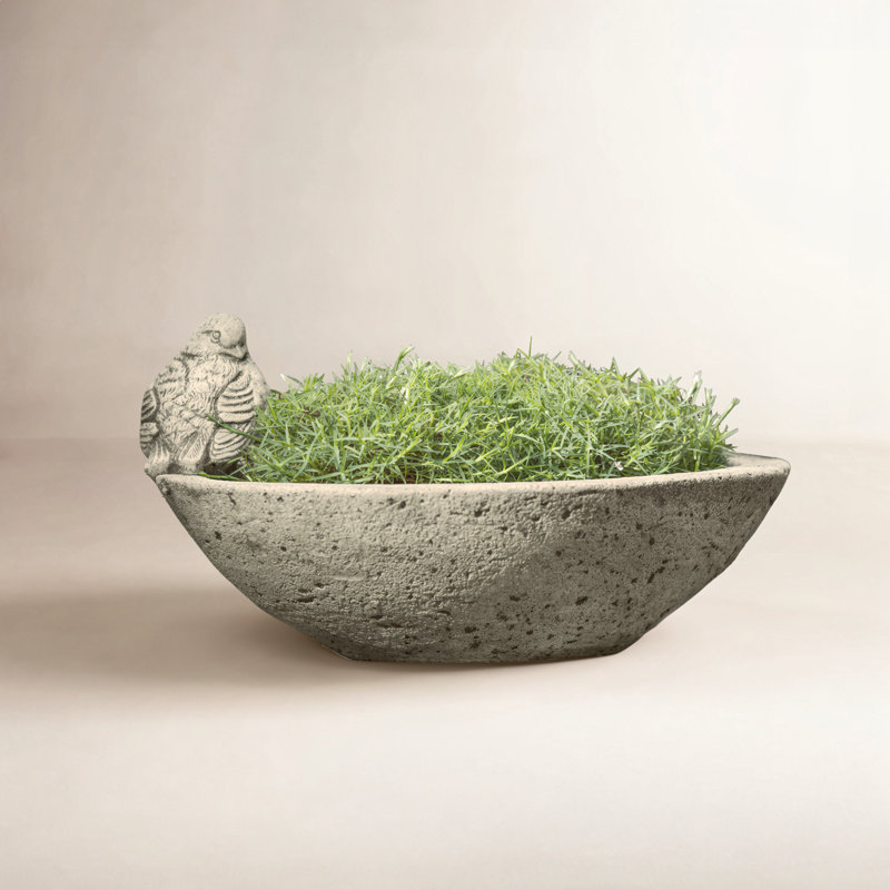 Statue pot à fleurs en pierre de Ren Ren, Mousse anglaise