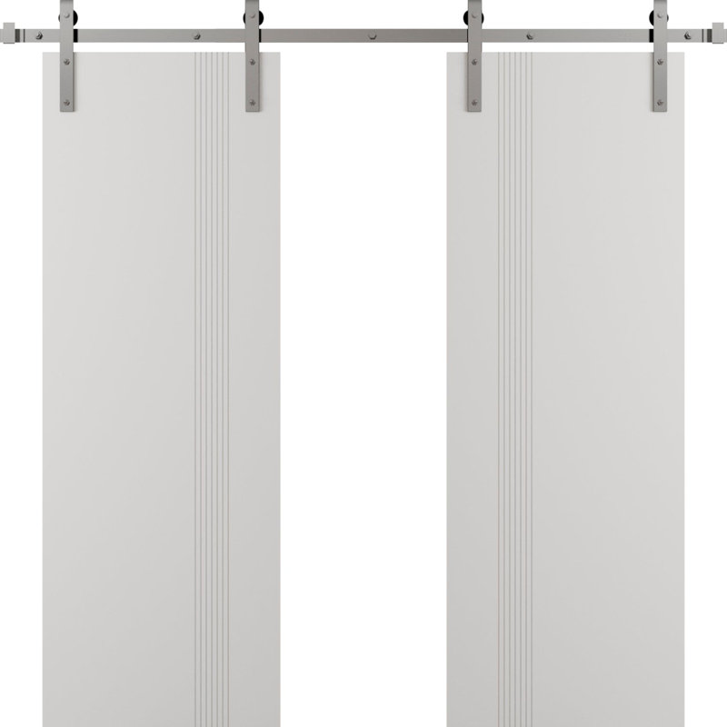 Porte de grange double moderne - ESSENTIAL 0777 - Ensemble de rail de 13 pi - Portes intérieures à panneau plein, 2
