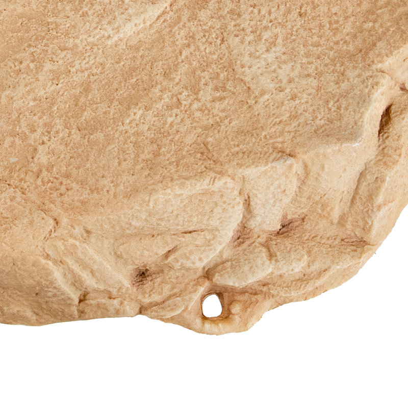 Ensemble de 2 pierres de jardin artificielles plates avec piquets - Beige, Beige, 2