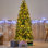 Sapin 8,5 pi