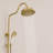 Adjustable 2-Function Shower System with Handles-126375059