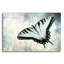 «Teal Butterfly II» par Lori Deiter, art mural en verre acrylique-1000689506