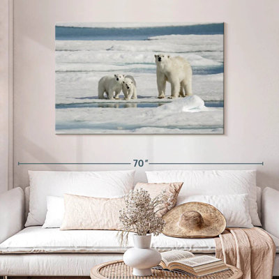 Ours polaires Brampt Longyearbyen