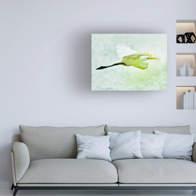 Wrapped Canvas Wall Art - Mary Lou Johnson 'Soaring with Determination' Wall Art for Living Room, Bedroom, or Office Décor  - 18x24
