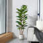 Adcock  Artificial Fiddle Leaf Fig Tree with Realistic Leaves and Natural Trunk, Potted Tree-1894643564