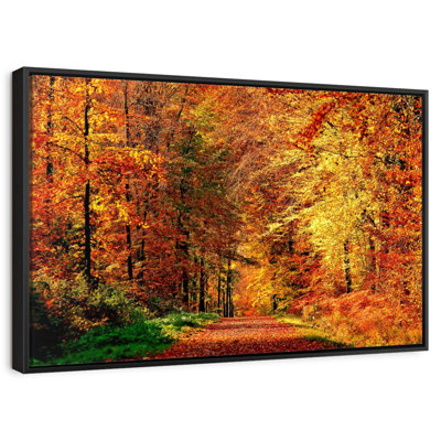 Chemin vers la forêt d'automne
