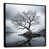 Black Floater Framed