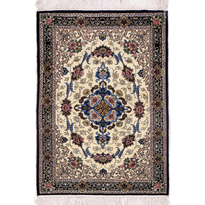 Merkiel Oriental Area Rug in Ivory