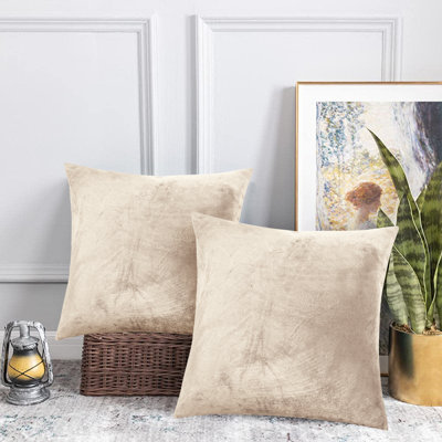 Velvet Scatter Cushion Cover