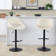 Fabrico Adjustable Barstool With Rounded T Footrest - Set Of 2