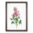 Walnut Framed selected