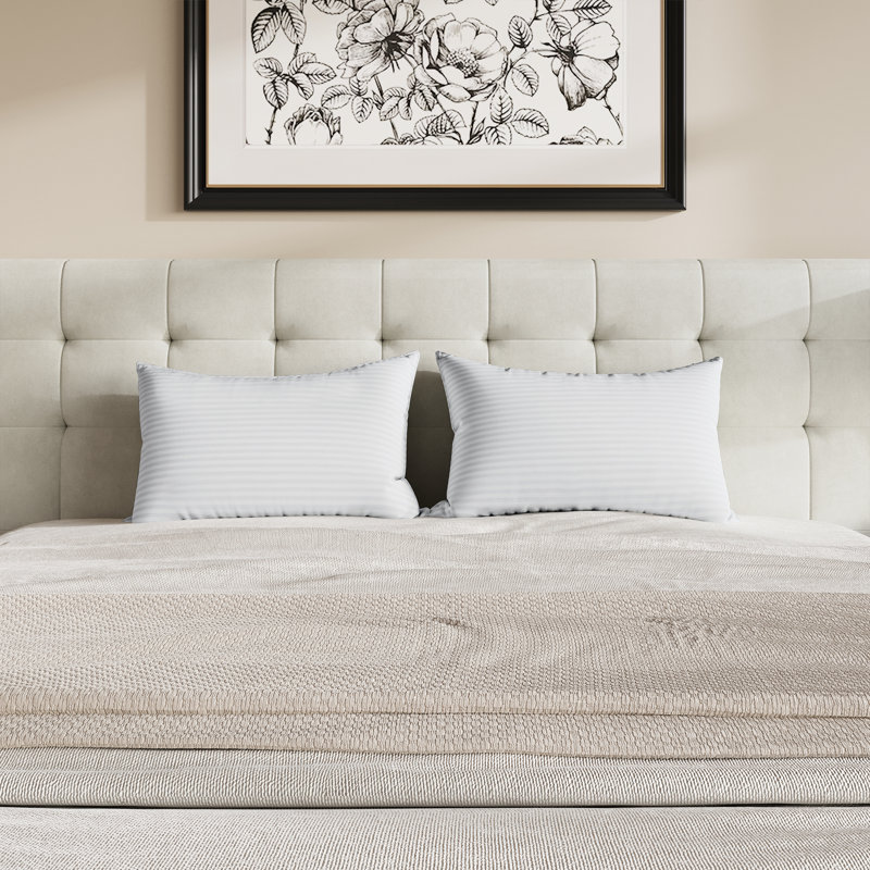 QUEEN SIZE BED PILLOWS (SET OF 2), QUEEN