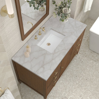 Myrrin 48'' Single Bathroom Vanity with Top