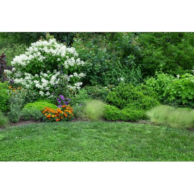 Blooming Garden - Photographie sur toile tendue