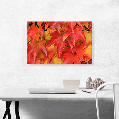 Feuilles de chêne - reproduction de photo sur toile tendue