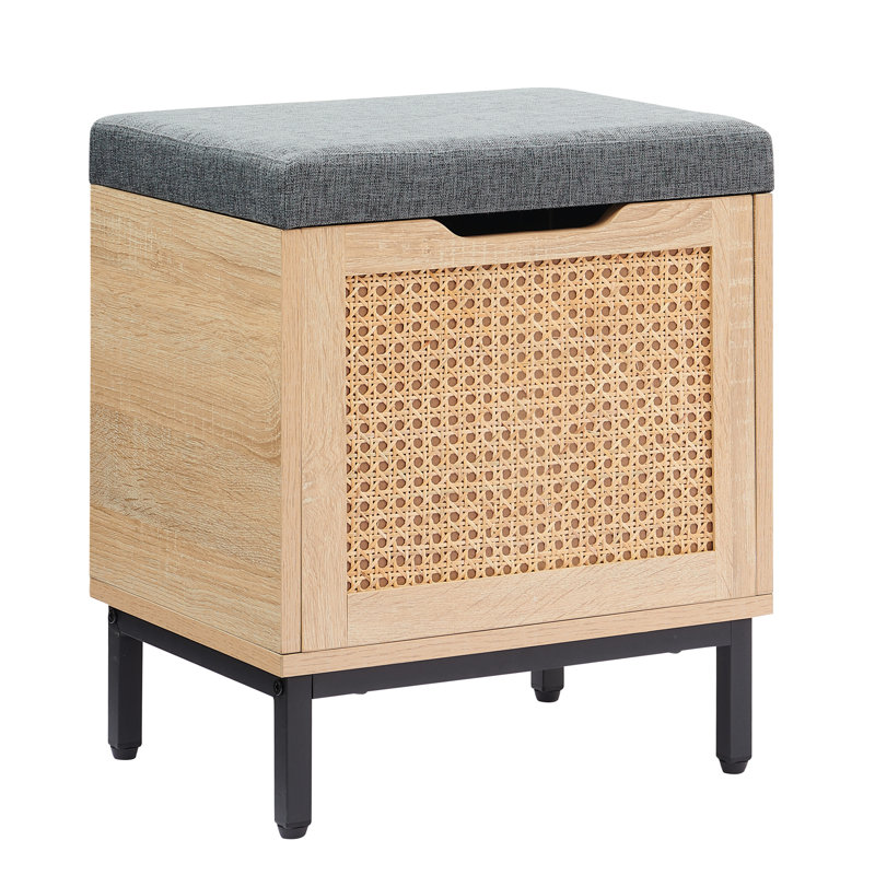 Amdan Shoe Storage Box