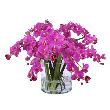 World Menagerie Orchid Arrangement In Vase & Reviews 