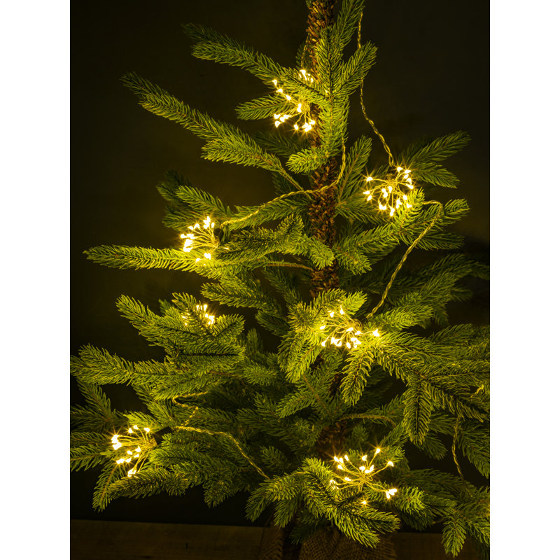 LED Indoor / Outdoor String Lights