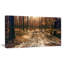 Road in Dark Wooded Forest - Reproduction de photo sur toile tendue-19240735