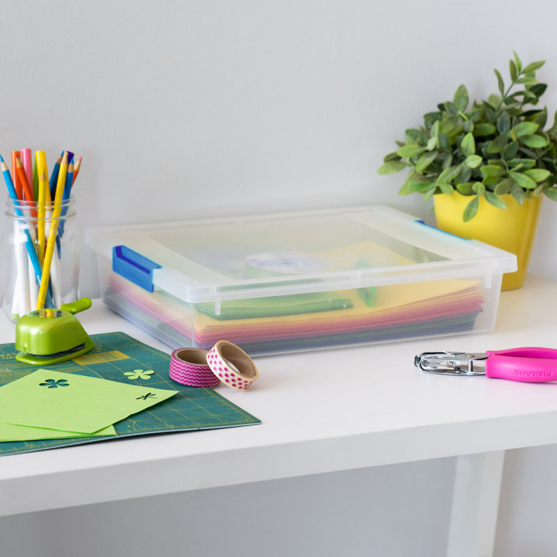 IRIS Plastic Storage Tub & Tote