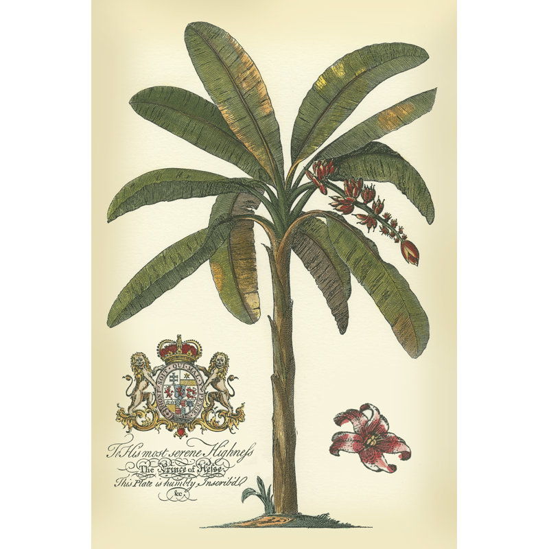 Palmier et crête II, H 30 po x l 20 po x P 1,25 po
