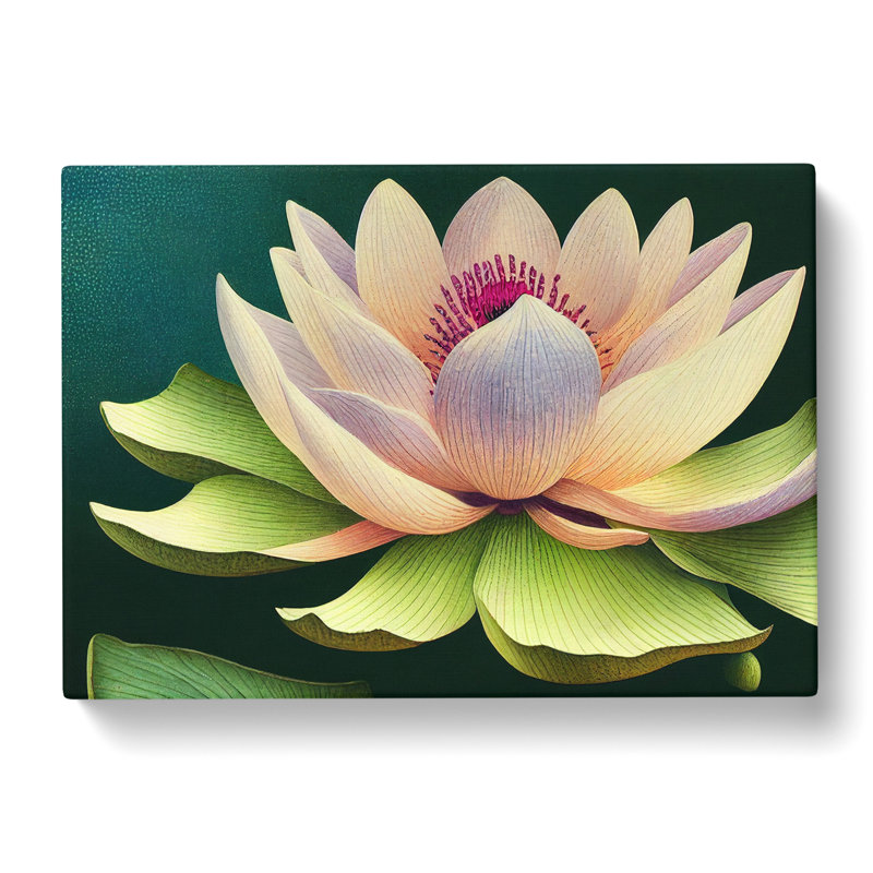Precious Lotus Flower - Wrapped Canvas Print, 35cm H x 50cm W x 3cm D