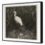 Coastal Birds 2 Print by THE Studio-1385129402-1385129403