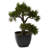 15'' Faux Bonsai Tree in Planter