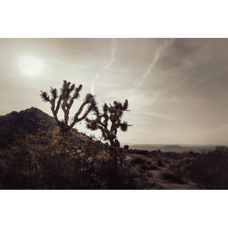 Mojave désert, H 34,5 po x l 47,5 po, Naturel