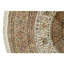 Silk Oriental Area Rug