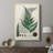 Collected Ferns II -Custom Wrapped Gallery Cavas
