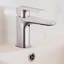 Single-handle Bathroom Faucet with Drain Assembly