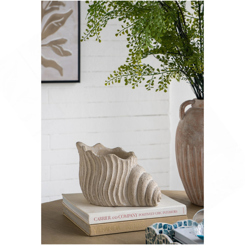11.5X7x7" Sand And Cement Nautilus Shell Planter With Textured Beige Finish